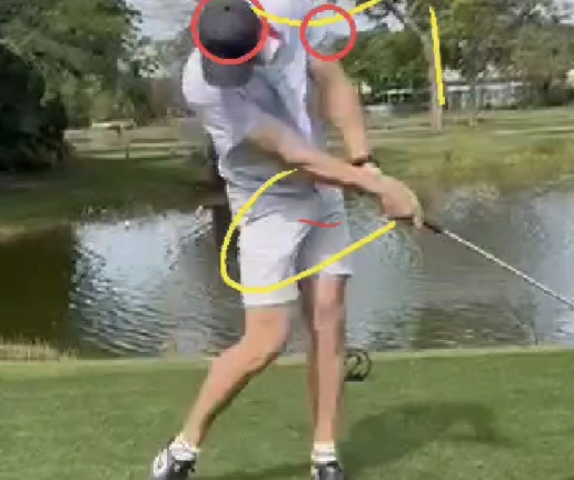 5 pack video swing reviews
